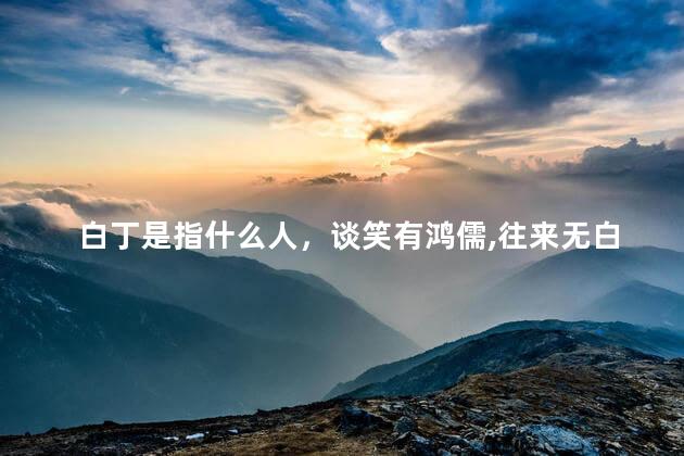 白丁是指什么人，谈笑有鸿儒,往来无白丁是什么意思