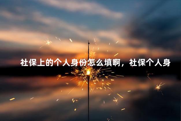 社保上的个人身份怎么填啊，社保个人身份怎么写