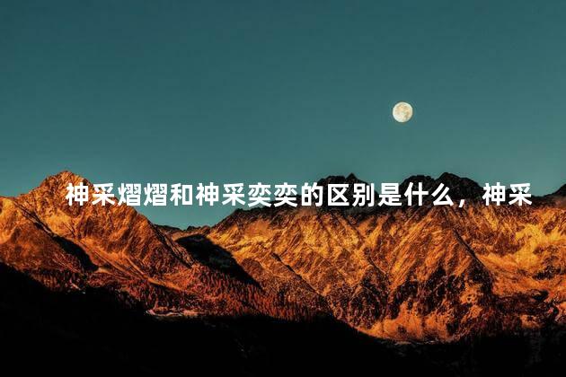 神采熠熠和神采奕奕的区别是什么，神采奕奕和神采熠熠有什么区别