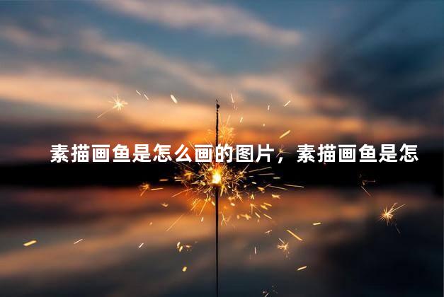 素描画鱼是怎么画的图片，素描画鱼是怎么画的呢