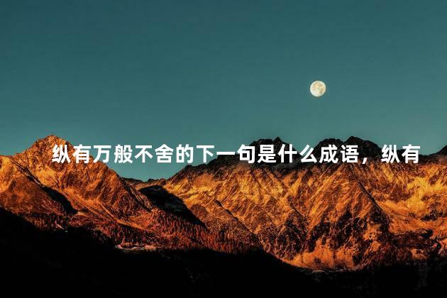 纵有万般不舍的下一句是什么成语，纵有万般不舍啥意思