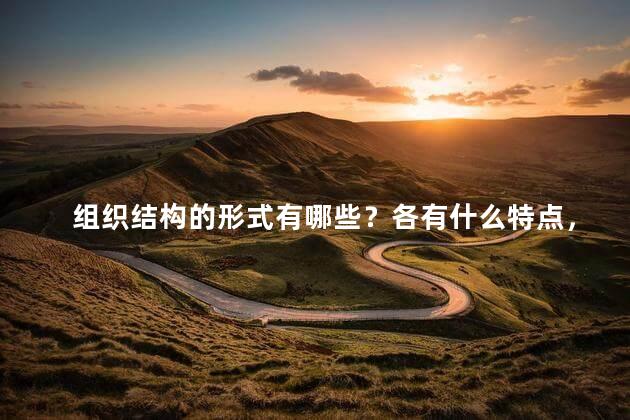 组织结构的形式有哪些？各有什么特点，组织结构的形式有哪些,优缺点