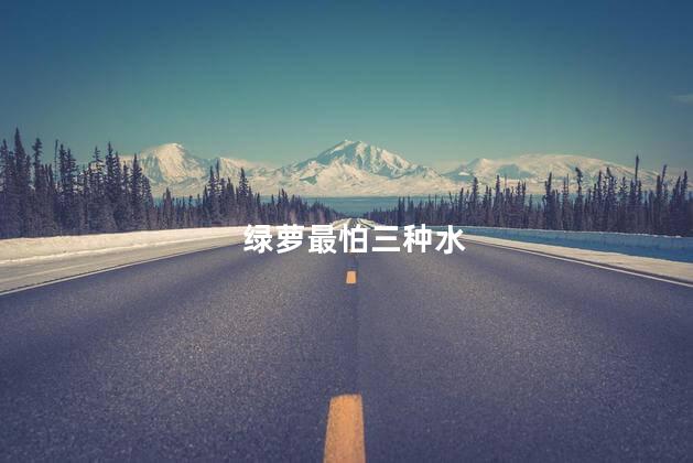 绿萝最怕三种水