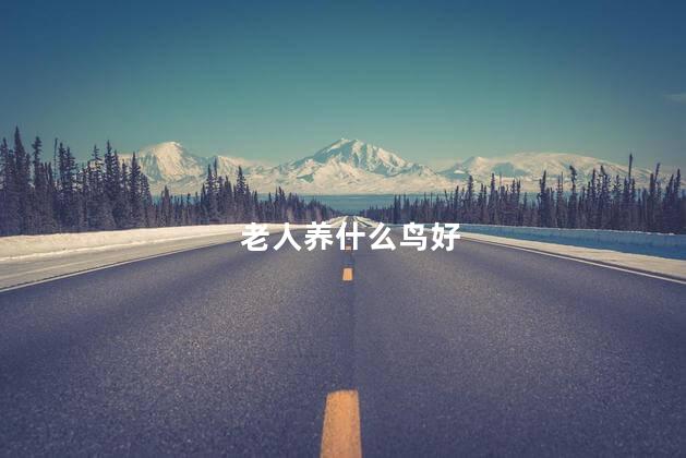 老人养什么鸟好
