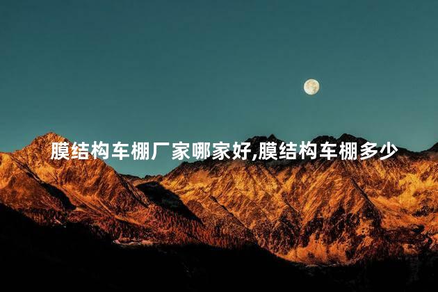 膜结构车棚厂家哪家好,膜结构车棚多少钱一平方