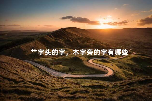 艹字头的字，木字旁的字有哪些