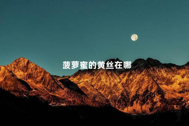 菠萝蜜的黄丝在哪