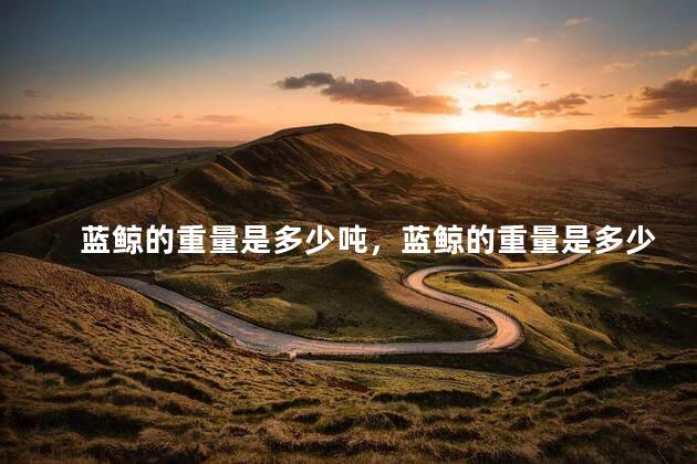 蓝鲸的重量是多少吨，蓝鲸的重量是多少斤