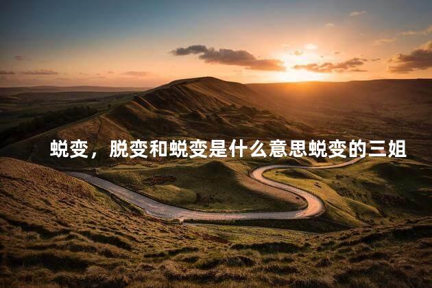 蜕变，脱变和蜕变是什么意思蜕变的三姐妹