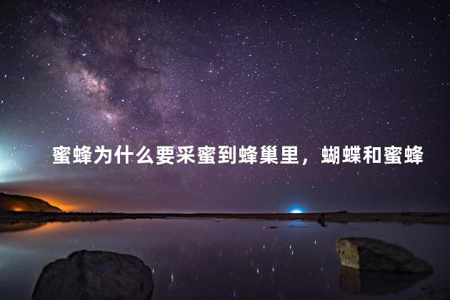 蜜蜂为什么要采蜜到蜂巢里，蝴蝶和蜜蜂为什么要采蜜