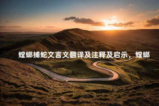 螳螂捕蛇文言文翻译及注释及启示，螳螂捕蛇文言文翻译及注释拼音
