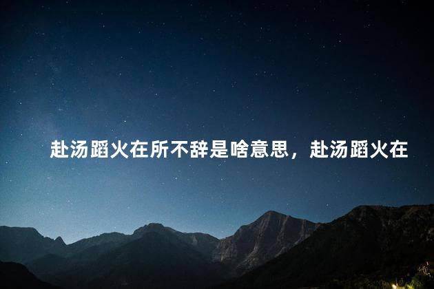 赴汤蹈火在所不辞是啥意思，赴汤蹈火在所不辞是成语吗