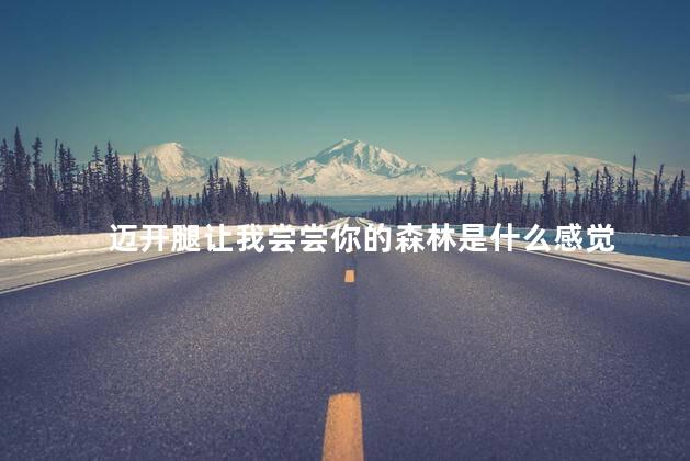 迈开腿让我尝尝你的森林是什么感觉