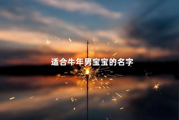 适合牛年男宝宝的名字