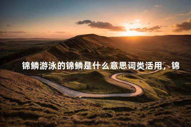 锦鳞游泳的锦鳞是什么意思词类活用，锦鳞游泳的锦鳞是什么意思啊