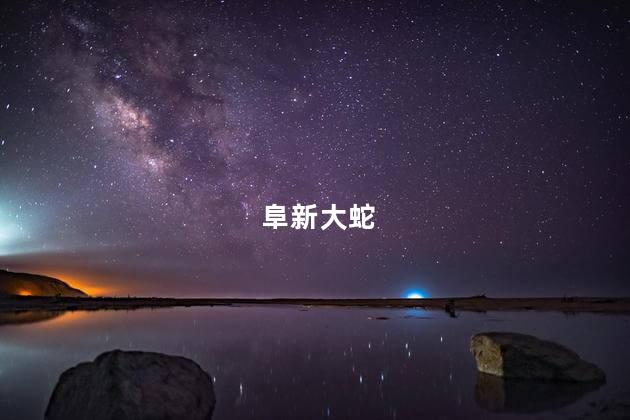 阜新大蛇，阜南挖出大蛇