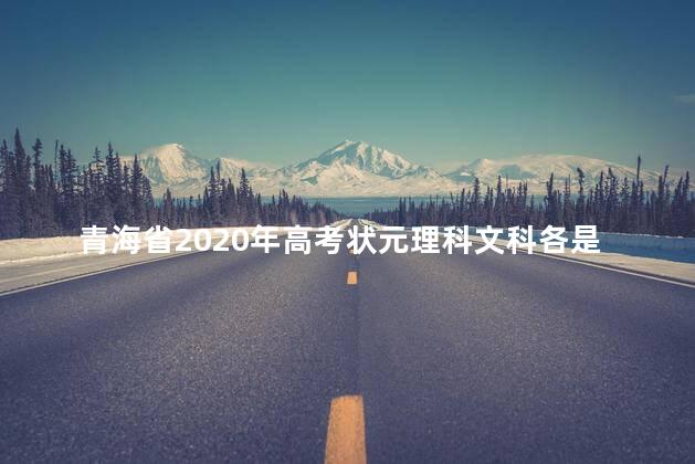 青海省2020年高考状元理科文科各是多少分，2021年青海省高考状元多少分