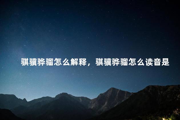 骐骥骅骝怎么解释，骐骥骅骝怎么读音是什么意思