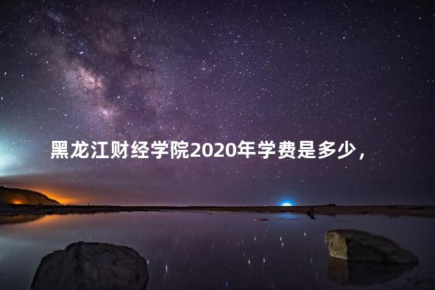 黑龙江财经学院2020年学费是多少，黑龙江财经学院一年的费用是多少